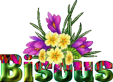 bisous fleurs jaunes
